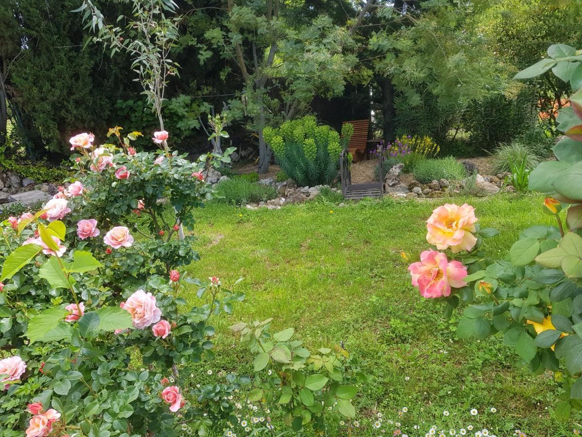 Maison Mimosa サレルヌ エクステリア 写真